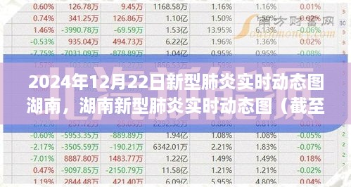 湖南新型肺炎实时动态图（截至2024年12月22日最新数据）
