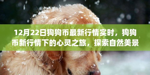 狗狗币最新行情下的心灵之旅，自然美景探索与内心平静的追寻