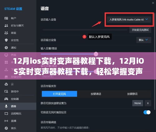 12月iOS实时变声器教程下载，轻松掌握变声技巧，体验语音魅力