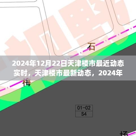 天津楼市最新动态回顾与展望，2024年12月22日回顾与未来趋势分析