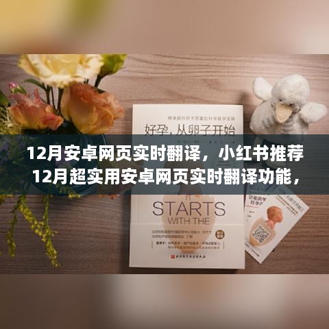 小红书推荐，12月安卓网页实时翻译功能，畅游全球网络世界必备！