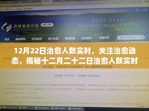 十二月二十二日治愈人数实时报告，关注治愈动态，揭秘最新数据