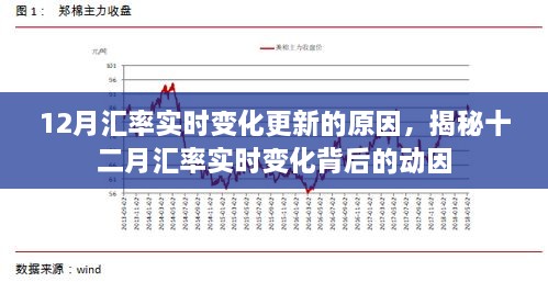 揭秘十二月汇率实时变化的背后动因与影响因素分析