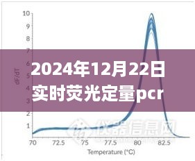 关于实时荧光定量PCR实验时间与体验的综合评测——以2024年为例的探讨与解析