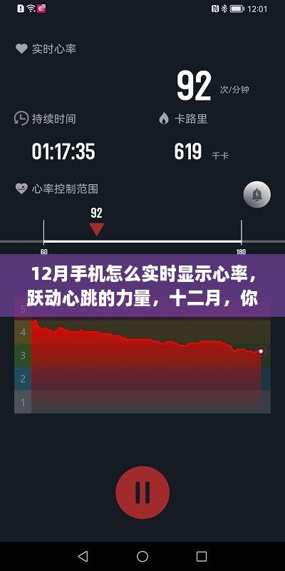 12月手机实时心率监测，跃动心跳的力量，掌握心率之旅