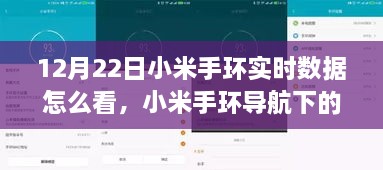 小米手环实时数据查看指南，自然美景探索之旅，助你寻找内心宁静与平和