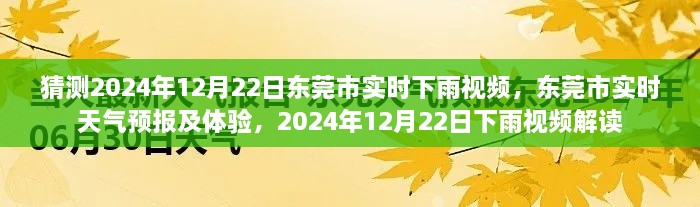 东莞市天气预报解读，实时下雨视频与体验分享，预测至2024年12月22日下雨视频分析