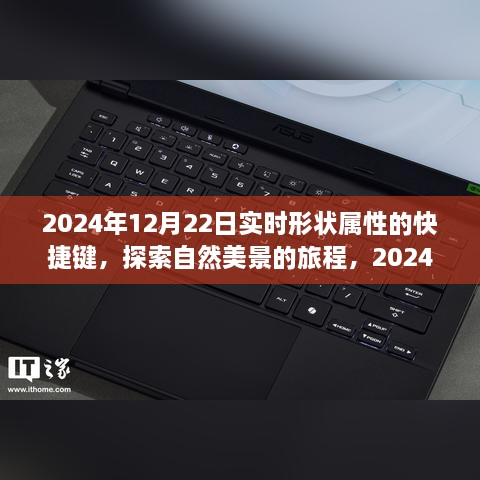 探索自然美景之旅，快捷键揭示内心平静的秘密，2024年12月22日实时形状属性指南