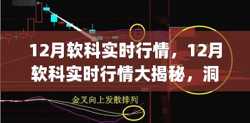 洞悉未来机遇，揭秘12月软科实时行情与行业趋势