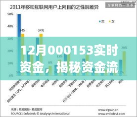 揭秘实时资金流动脉络，探寻十二月资金动向奥秘——以资金案例实时资金12月000153为例