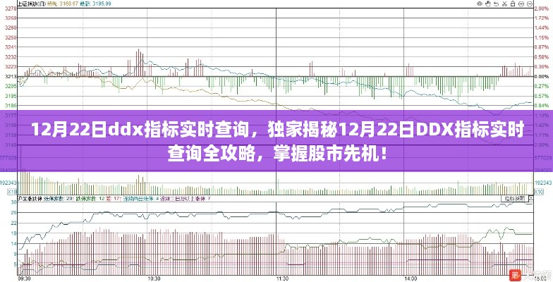 独家揭秘，12月22日DDX指标实时查询全攻略，助你掌握股市先机！