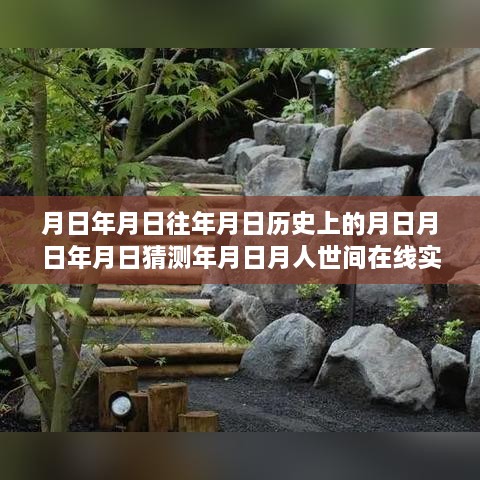 时光之约，月日月年的温馨相聚与在线实时播放