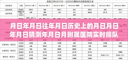 穿越时光追寻月日月日，历史、医院排队与心灵秘境的探索之旅