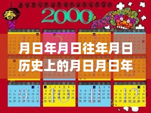 香港公车实时信息查询，历史沿革、实时动态与未来展望