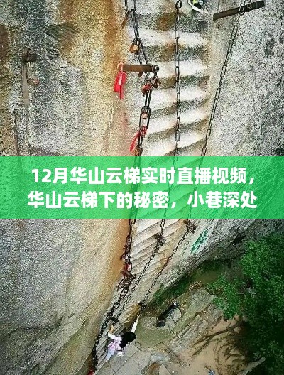 揭秘华山云梯，实时直播探寻深山秘境与小巷独特体验