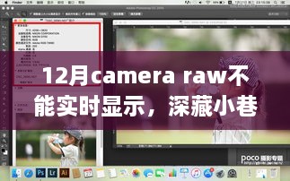 揭秘Camera Raw幕后故事，摄影秘境与12月实时显示难题的探寻