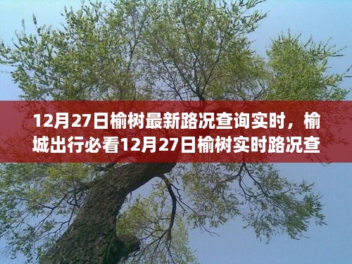 榆树最新路况报告，12月27日实时更新，避开拥堵路段，榆城出行必看指南