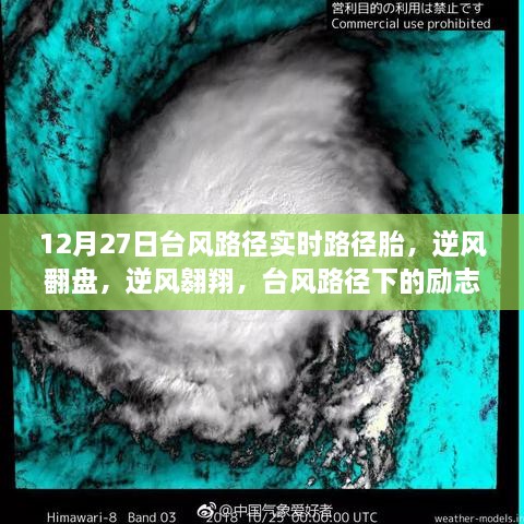 台风逆袭之路，逆风翱翔的自我超越与励志故事