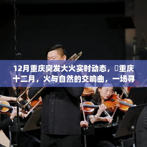 重庆突发大火，火与自然交响曲下的寻找内心平静之旅