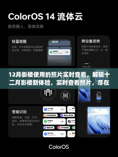 十二月影楼新体验，实时查看照片，尽在掌控之中