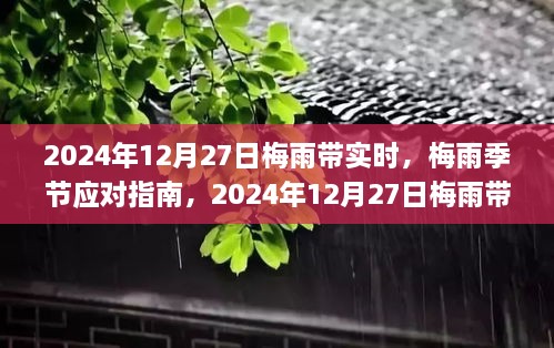 梅雨季节应对指南，实况分析与应对步骤（针对2024年梅雨带）