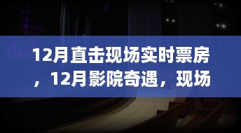 揭秘现场实时票房背后的故事，影院奇遇与温暖十二月