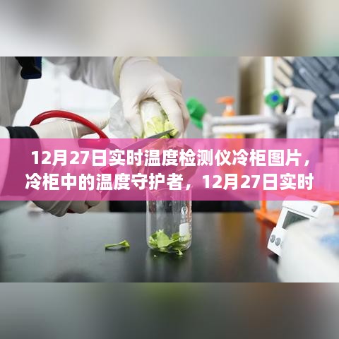 冷柜中的温度守护者，实时温度检测仪的历程与影响及图片展示