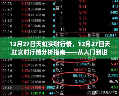 12月27日天虹实时行情深度解析，从新手到进阶的全方位指南