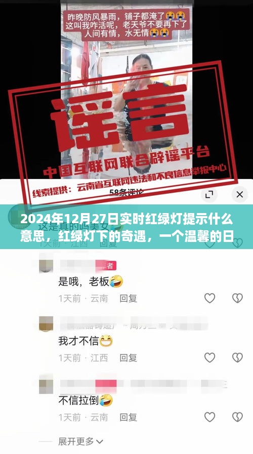 红绿灯下的奇遇，日常温馨故事与实时红绿灯提示的含义