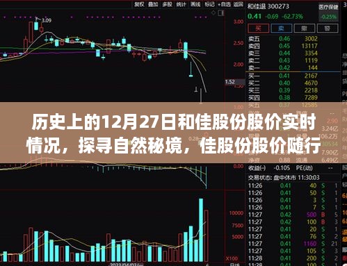 佳股份股价历史探寻与心灵历史双行旅程，揭秘股价实时动态与自然秘境之旅的交融时刻（12月27日）