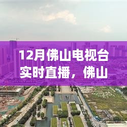 佛山电视台12月实时直播，学习变化，自信成就梦想，拥抱正能量之夜