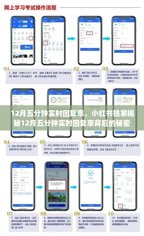 小红书揭秘，12月五分钟实时回复率的秘密，高效沟通轻松达成！