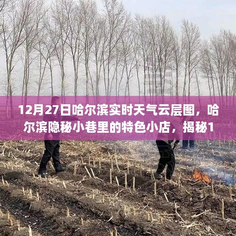 揭秘哈尔滨隐秘小巷特色小店，12月27日实时天气与云层之美