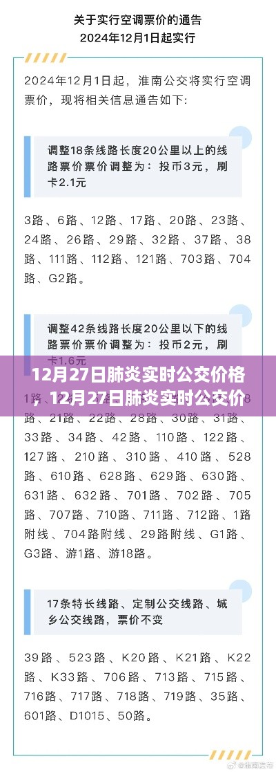 12月27日肺炎实时公交价格全解析，查询指南与利用指南（初学者与进阶用户必备）