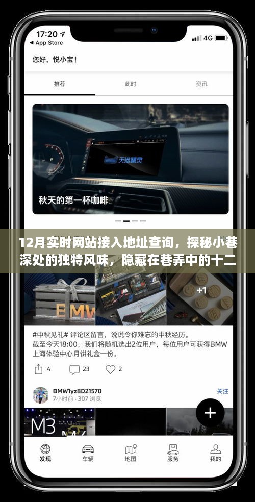 探秘十二月实时网站接入地址查询，巷弄深处独特风味小店指南