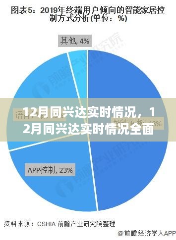 2024年12月31日 第13页