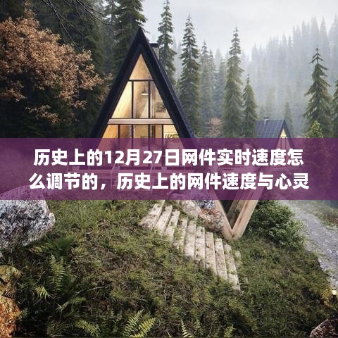 历史上的网件速度调节与心灵之旅，一场远离尘嚣的奇妙探险回顾