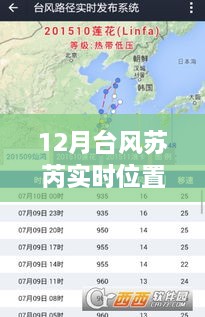 2024年12月31日 第11页