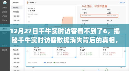 揭秘千牛实时访客消失背后的真相，如何应对特殊状况下的数据消失问题