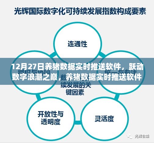 养猪数据实时推送软件背后的励志故事与成长之路，跃动数字浪潮之巅的养猪科技力量