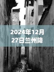 雨巷深处的美食奇遇，兰州雨巷美食探秘，雨中美食之旅（2024年12月27日）