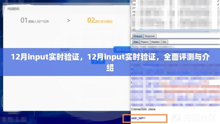 12月Input实时验证，全面评测与详细介绍