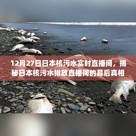 揭秘日本核污水排放直播间的幕后真相，深度解析与实时观察（12月27日直播回顾）