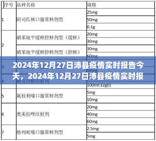 2025年1月1日 第25页