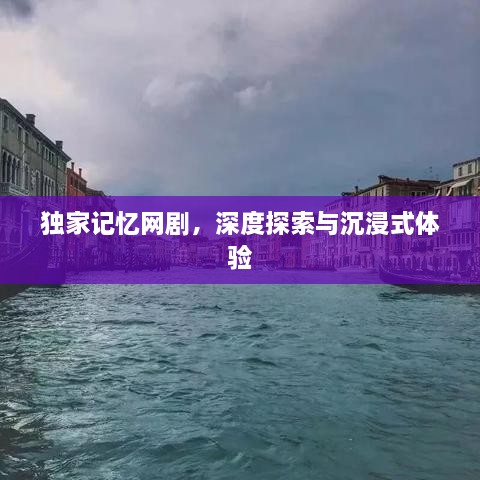 独家记忆网剧，深度探索与沉浸式体验