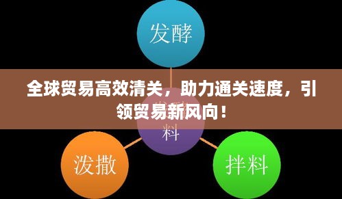 全球贸易高效清关，助力通关速度，引领贸易新风向！