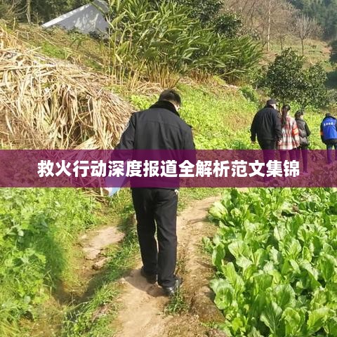 救火行动深度报道全解析范文集锦