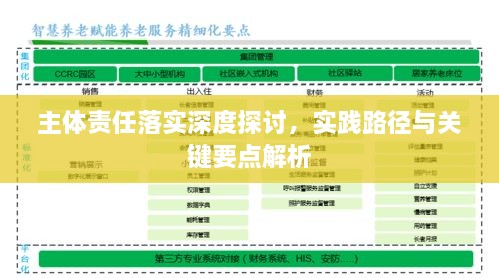 主体责任落实深度探讨，实践路径与关键要点解析