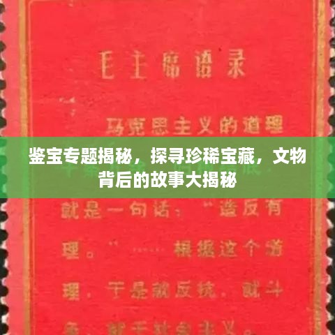 鉴宝专题揭秘，探寻珍稀宝藏，文物背后的故事大揭秘