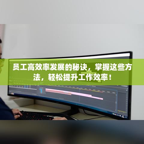 员工高效率发展的秘诀，掌握这些方法，轻松提升工作效率！